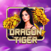 Dragon Tiger on big bunny app legit
