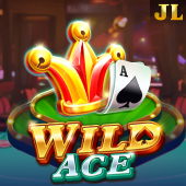 Wild Ace on big bunny app casino